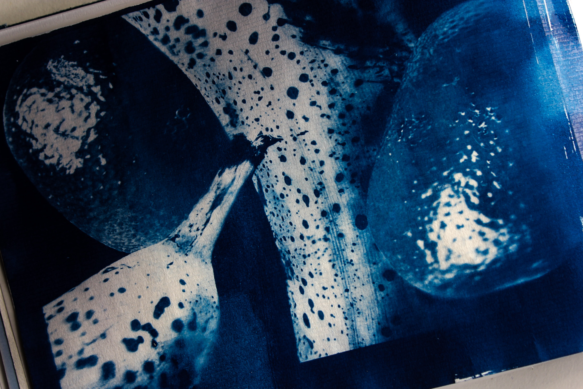 Work photo 6